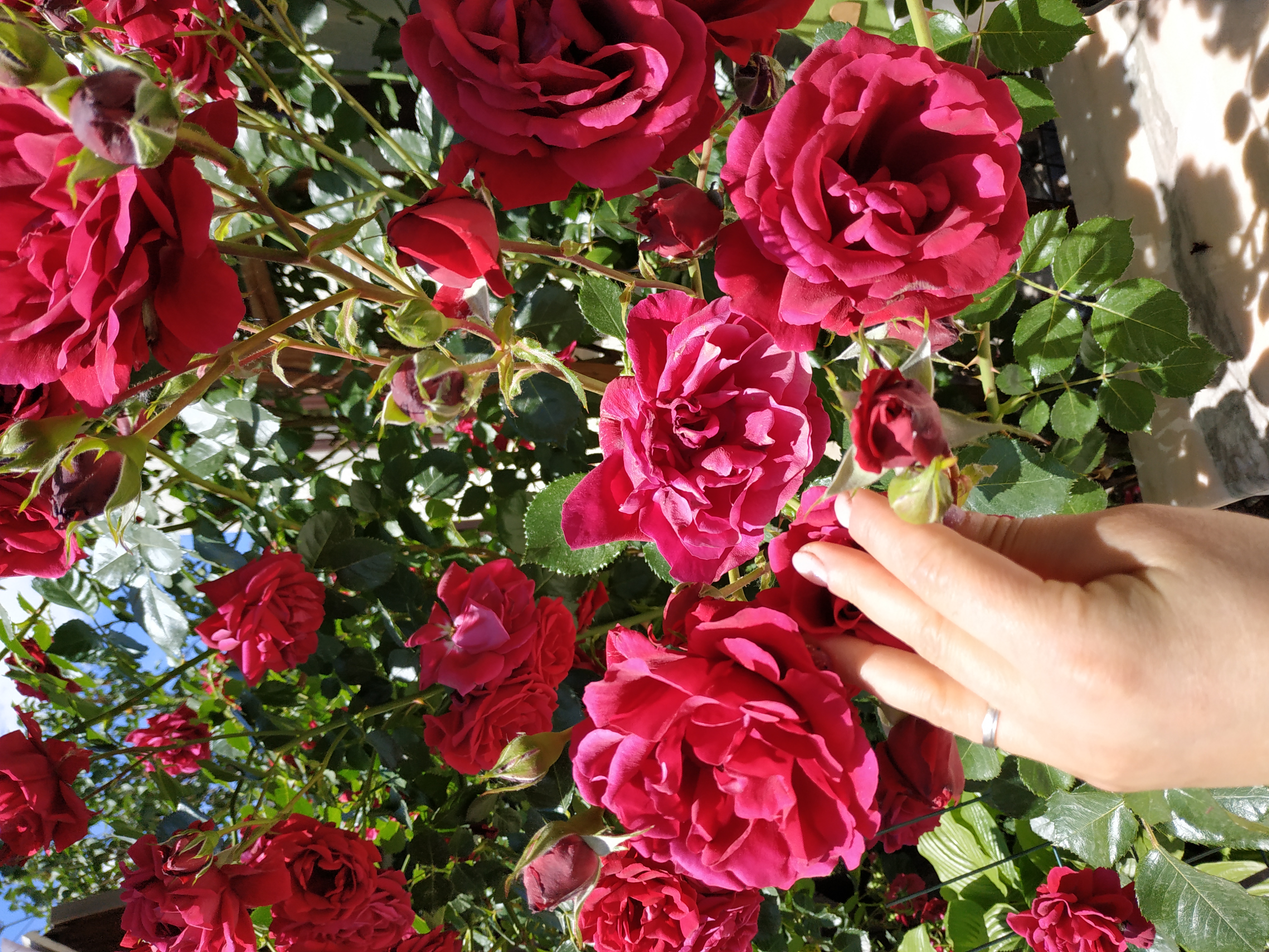 A descriptive alt text for the image